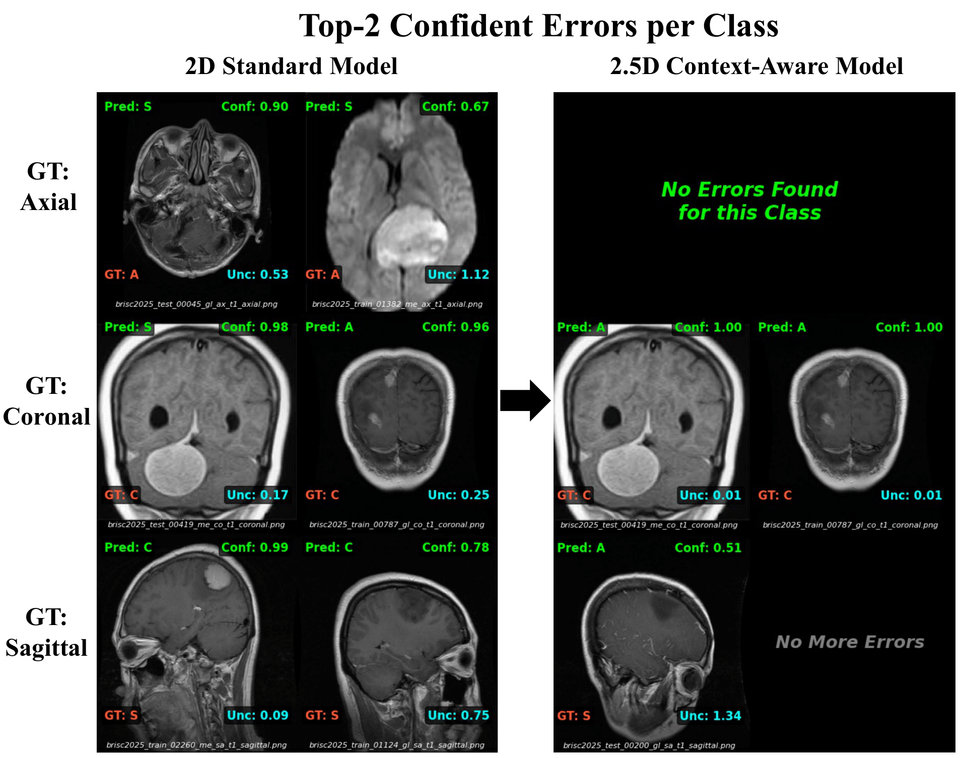 Figure 2: Top-2 Confident Errors per Class