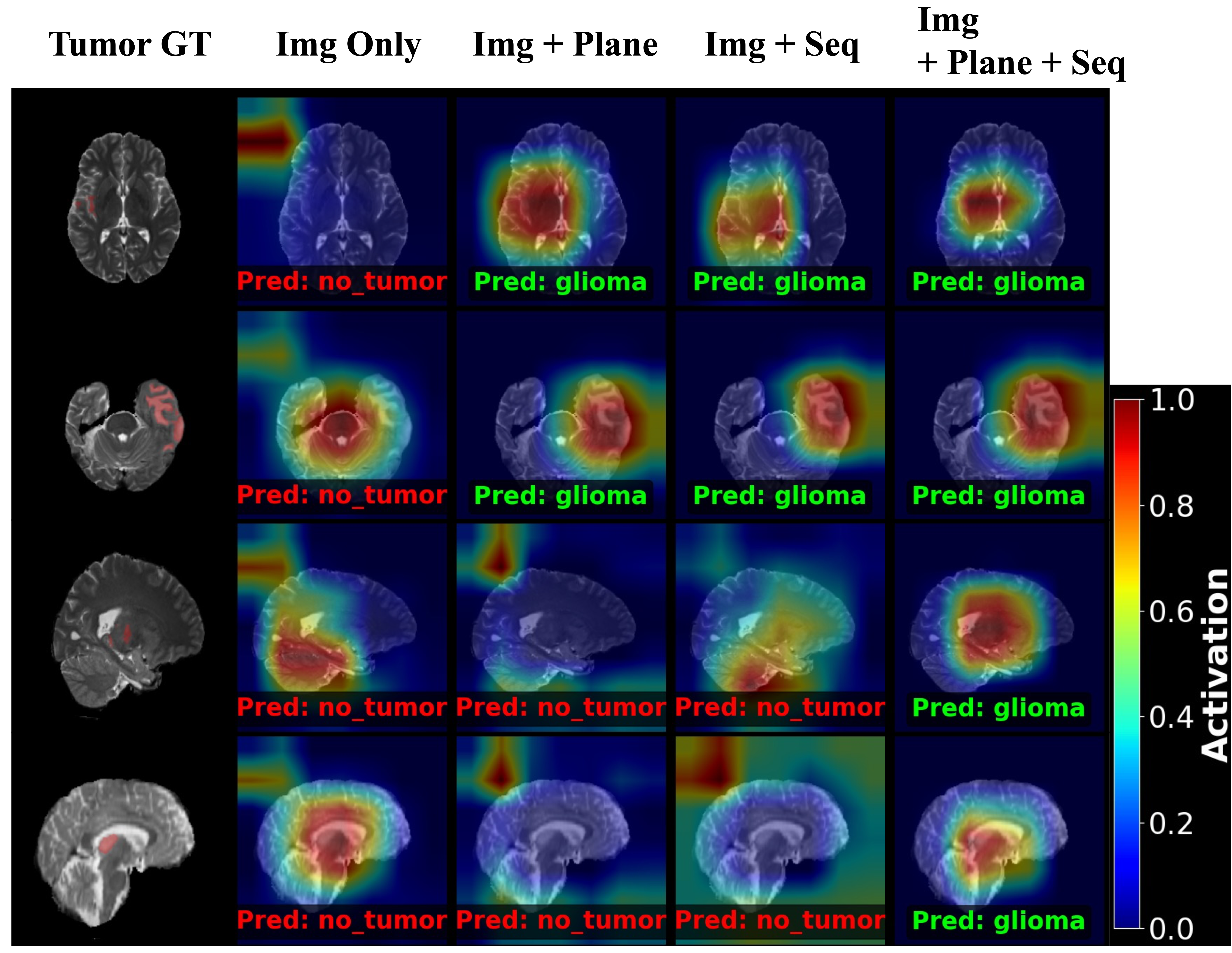 Grad-CAM Attention Map Comparison